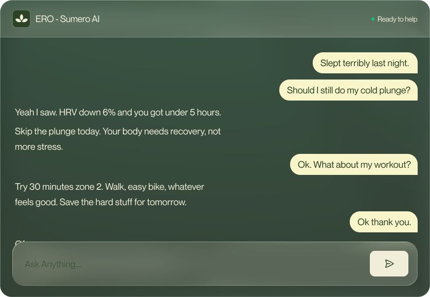 ERO chat interface